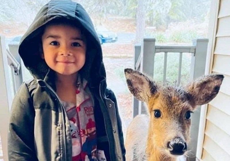 Ove fotke dokazuju da su ljudi i životinje najbolji prijatelji