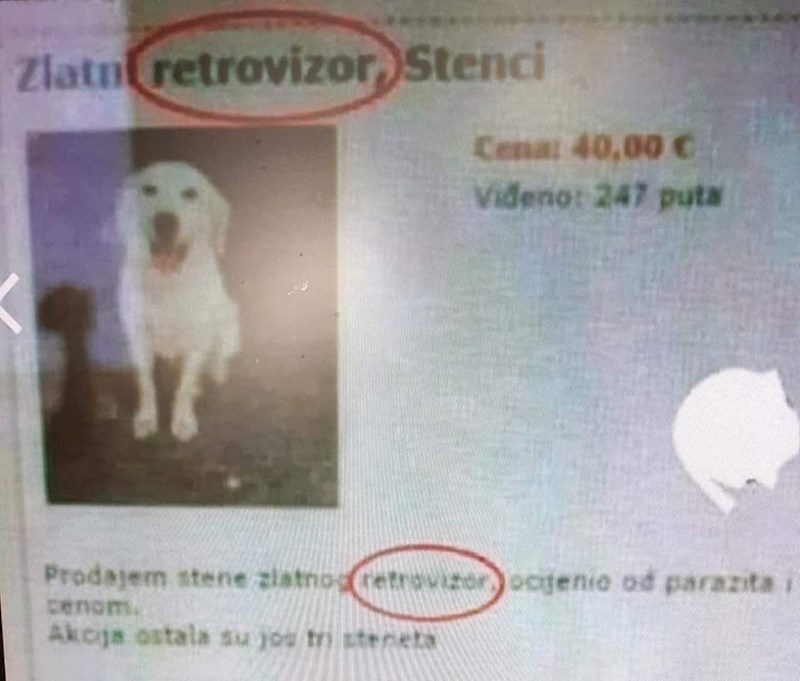 Bio je uvjeren da mu se pas tako zove