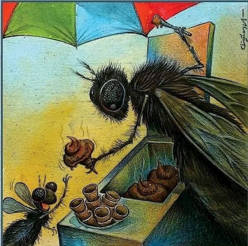 Ljetne radosti u svijetu muha