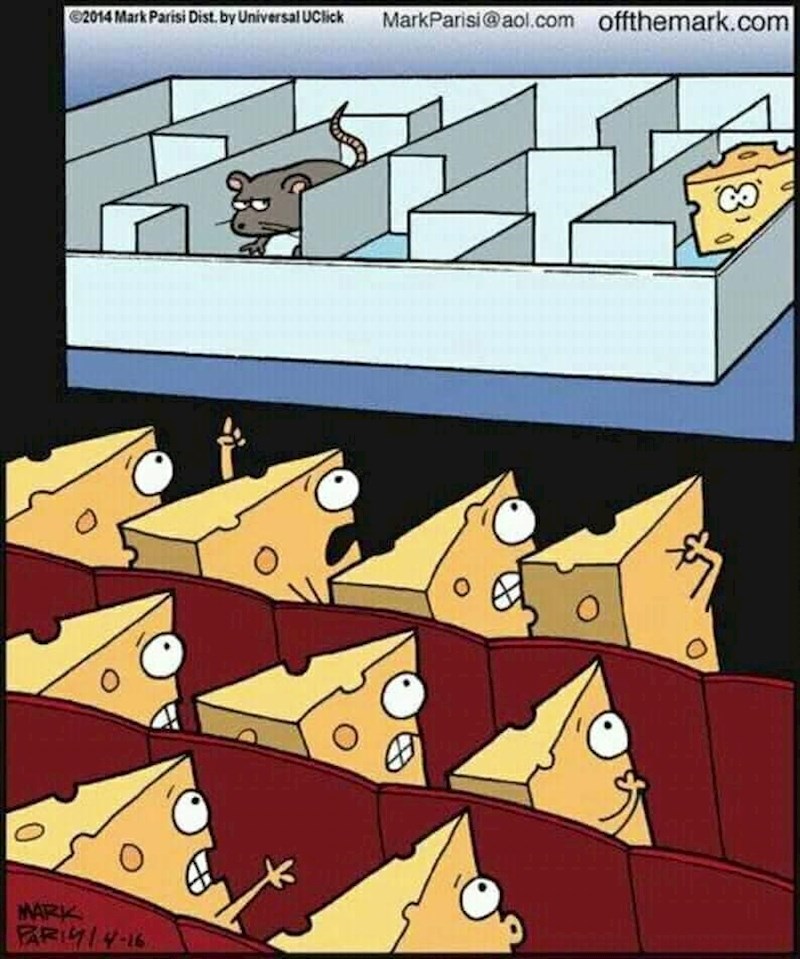 Kako sirevi gledaju horor u kinu