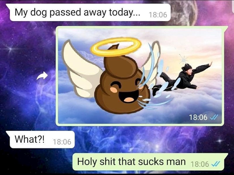 Ona ostala bez psa, on poslao čudnu sliku