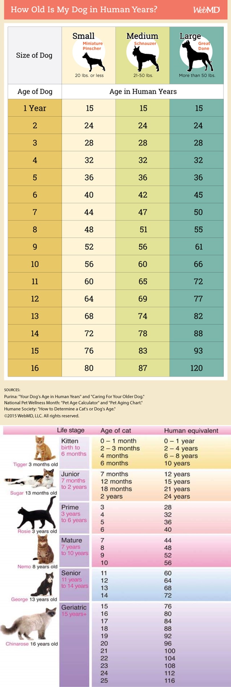 GALERIJA: Koliko su zapravo vaši ljubimci stariji od vas?