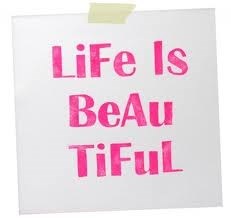 krokodil_kroko_junior