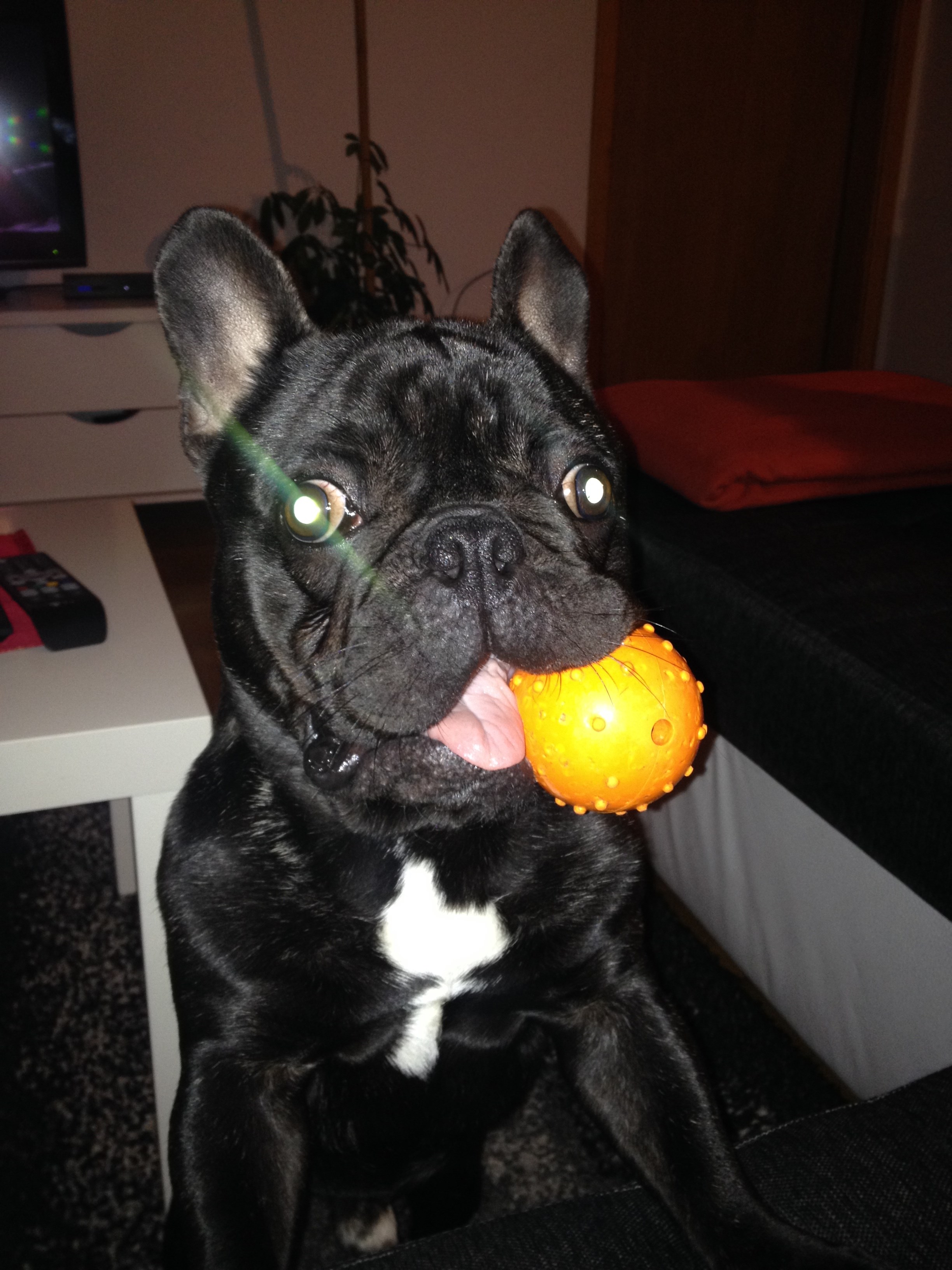 Photo 12.01.2015. 19 41 52.jpg