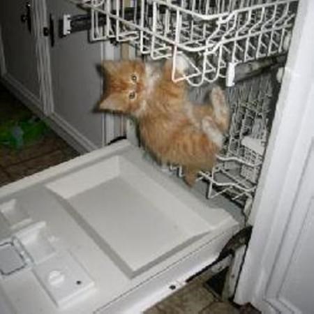 Hej, haj, uživaj! Još malo i idem se kupati!