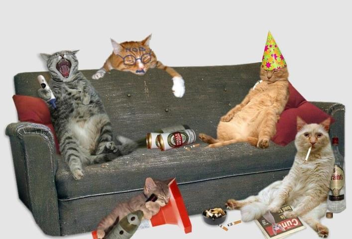 Ej, ljudi, ovo je bio tulum za pamćenje! Sutra-"spavancija".