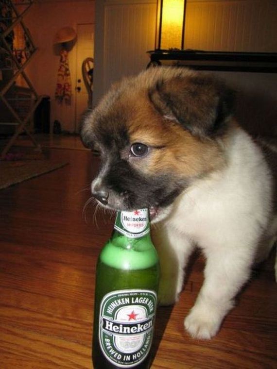 UFFFFF STO GA OBOZAVAAAAAAAMM