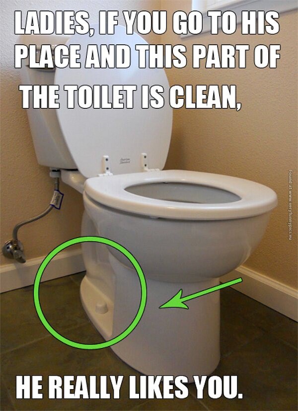 funny-pictures-part-of-toilet-clean-he-really-likes-you.jpg