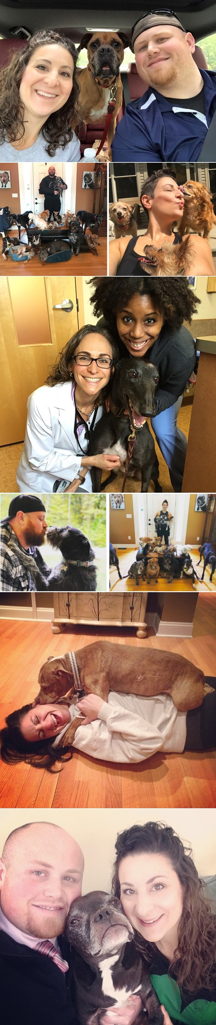 Ovaj par je spasio više od 100 pasa koje nitko nije htio udomiti samo zato što su stari