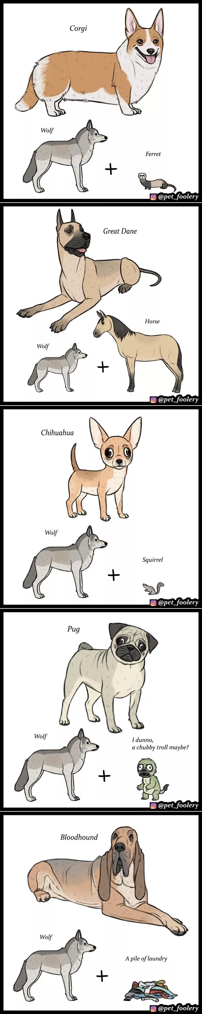 Smiješne pretpostavke ilustratora koji je htio otkriti kako su određene pasmine pasa zapravo nastale