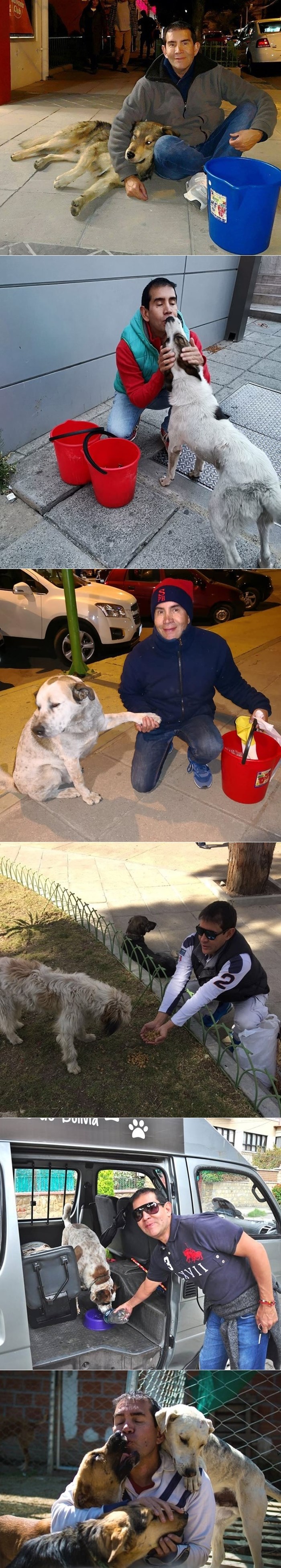 Čovjek iz Bolivije pronašao je način kako spasiti gladne ulične pse, isto to možete učiniti i vi