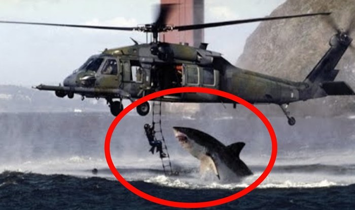 5 zastrašujućih napada morskih pasa koji su snimljeni kamerom u pravom trenutku