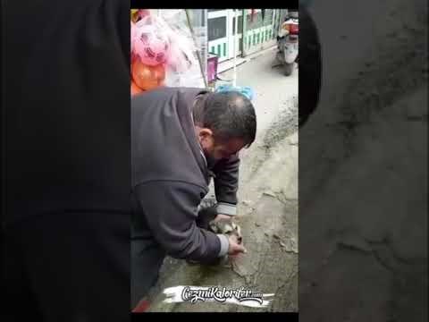 Muškarac nije htio odustati od psića koji je prestao disati. Dao mu je umjetno disanje i zadivio javnost