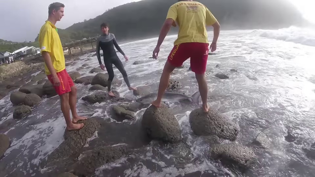 Mladići su ugledali mladog morskog psa kojeg valovi izbacuju na obalu. Nisu dopustili da ugine