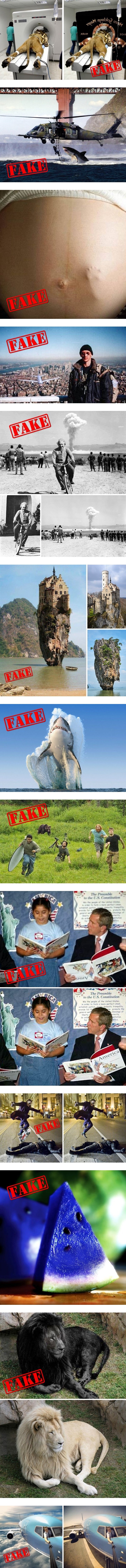 13 poznatih slika koje su bile veliki hit na internetu, ali za koje je dokazano da su ipak lažne