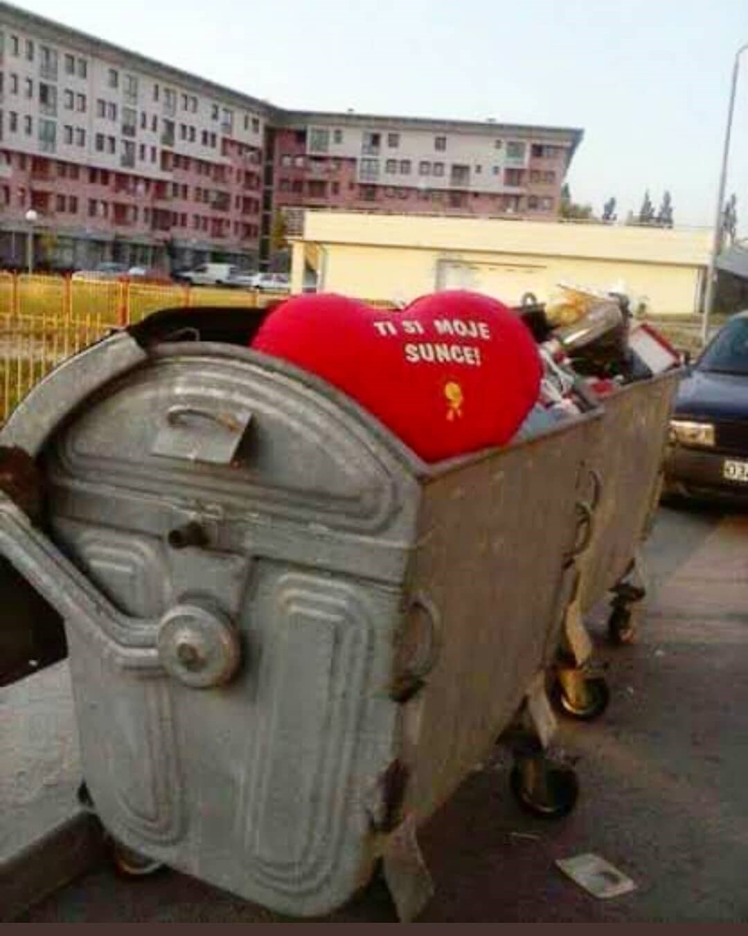 Išla je do kontejnera baciti smeće, a onda je ugledala prizor koji ju je malo rastužio