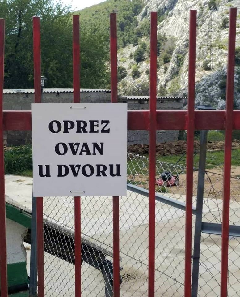 Ovim Dalmatincima ne treba oštar pas, njihovim dvorištem vlada nešto drugo