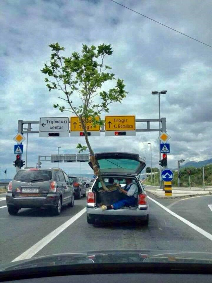 Netko je kod Kaštela slikao čudan prizor na cesti i dokazao da je u Hrvatskoj sve moguće