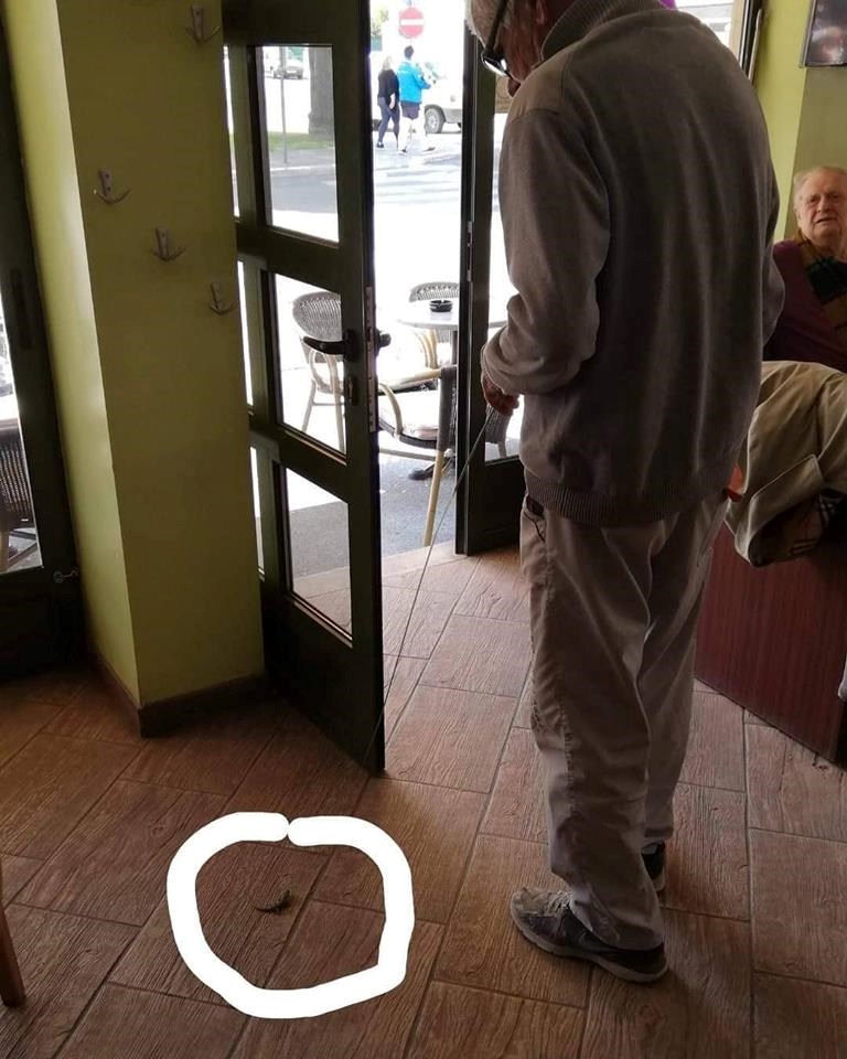 Čovjek u Biogradu zbunio ljude u kafiću, došao je s nesvakidašnjim ljubimcem