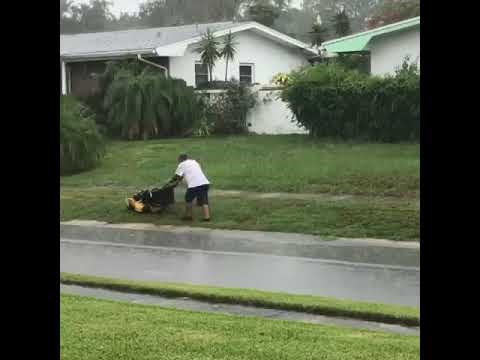 Susjedu je posudio kosilicu, a onda je iz daljine snimio prizor kakav se ne viđa često