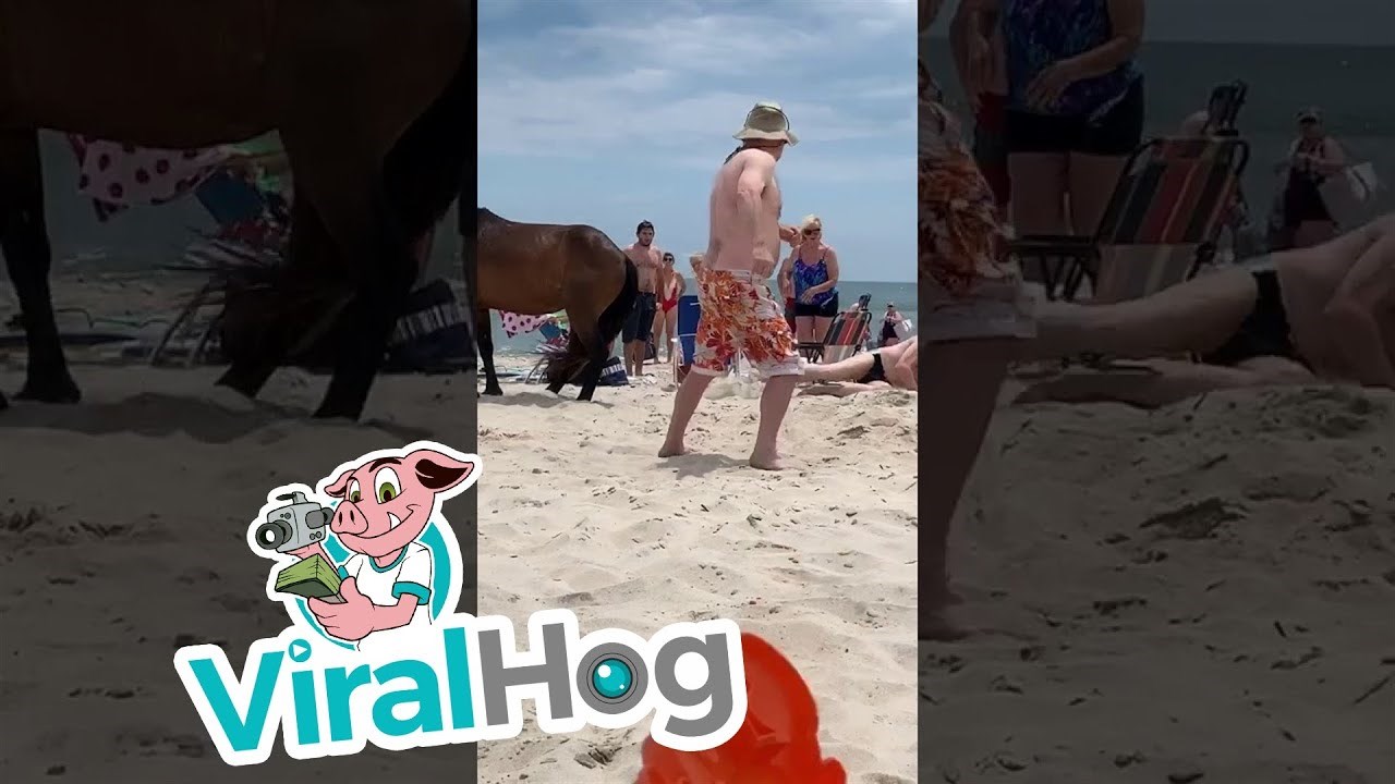 Stariji turist je na plaži gurao neobičnog gosta, a to nije dobro prošlo