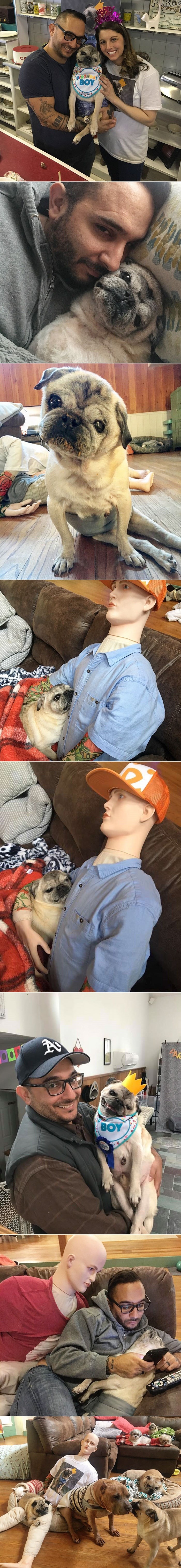 Stari pas se bojao odvajanja od vlasnika pa su za njega smislili zanimljivo rješenje