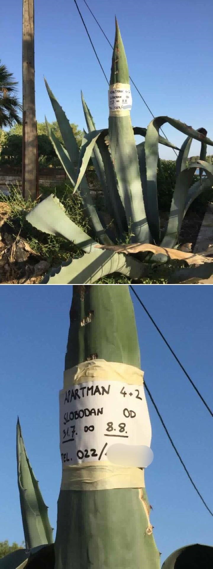 Dalmatinci na razne načine pokušavaju popuniti apartmane, pogledajte što je slikao jedan prolaznik