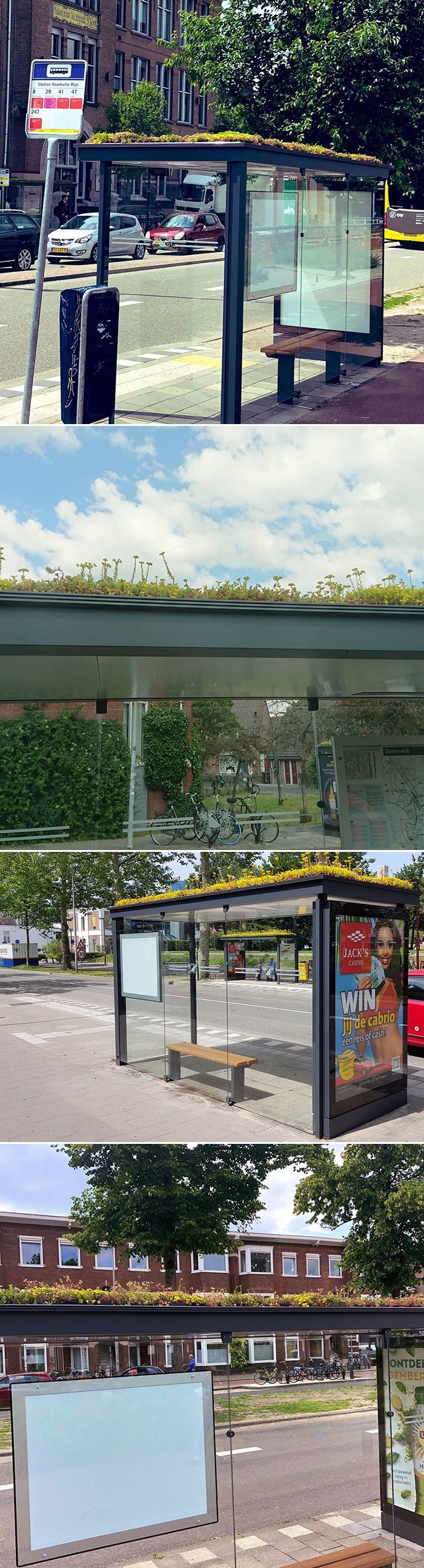 Nizozemci su shvatili da su pčele u ozbiljnim problemima pa su našli rješenje koje je zadivilo svijet