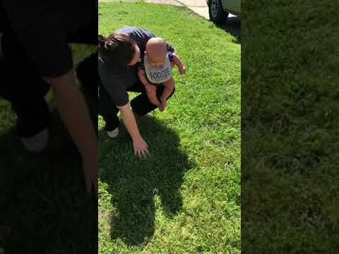 Izašli su s bebom pred kuću i snimili njene prve dodire s travom. Nešto ju je jako uznemirilo