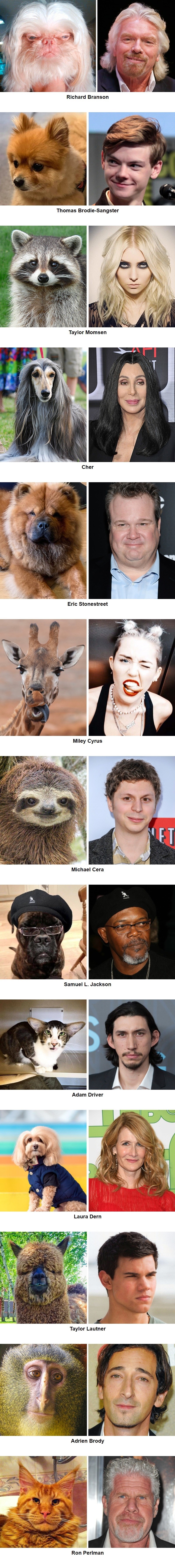 Možda nećete vjerovati, ali ove poznate osobe imaju dvojnike u životinjskom obliku