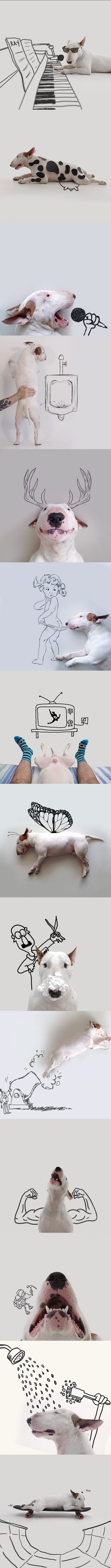 Žena ga je ostavila i uzela mu sve osim psa, a onda je učinio nešto genijalno