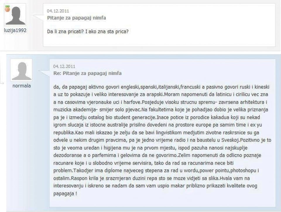 Prodavao je papigu: Kad je doibo ovu poruku, poslao je najdetaljniji odgovor ikad