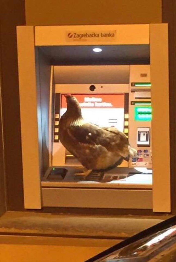 Navratio je do bankomata kako bi podigao novac, nije mogao vjerovati što ga je dočekalo