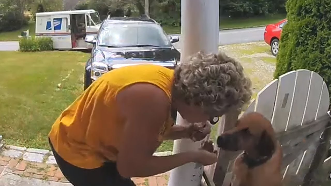Vlasnici kuće su pregledavali snimku kamere, oduševili su se kad su vidjeli ovu dostavljačicu