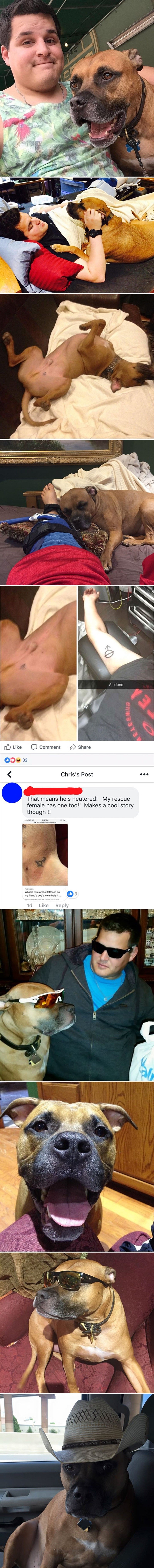 Lik je istetovirao znak koji je vidio na svom spašenom psu, požalio je kad je saznao njegovo značenje