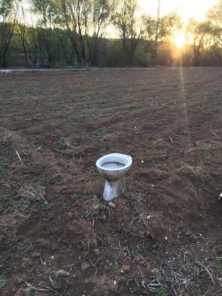 Prolaznik je rano ujutro htio slikati izlazak sunca, a onda je na jednom polju vidio nešto čudno