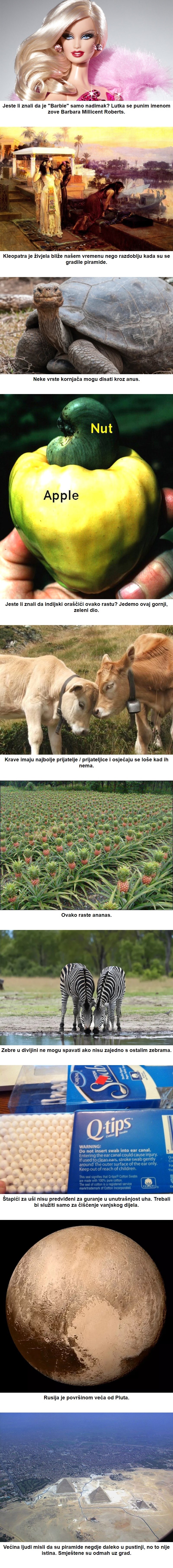 10 zanimljivih činjenica koje će vam pomoći da svijet promatrate na jedan sasvim novi način