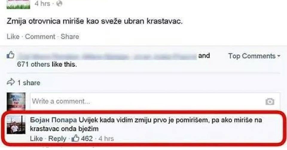 Na internetu je pročitao zanimljivu činjenicu pa svojim genijalnim komentarom nasmijao ostale