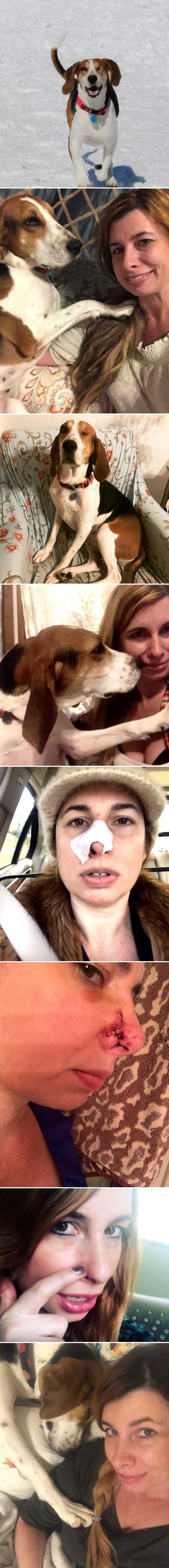 Samo nekoliko mjeseci nakon što je udomljena, jednooka kujica je spasila život svojoj novoj vlasnici