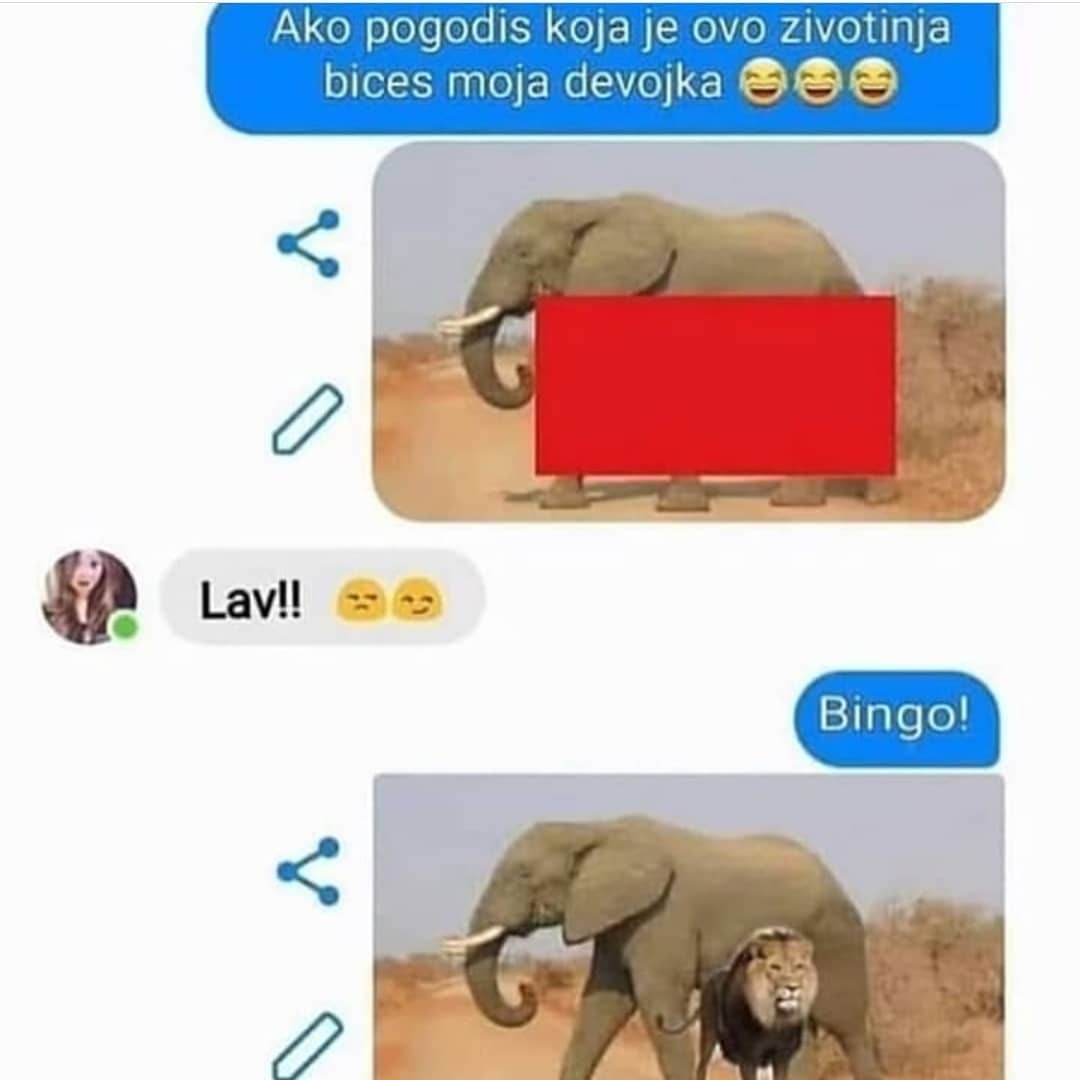 Lik je skužio kako može osvojiti bilo koju djevojku, nasmijat ćete se kad vidite što je učinio