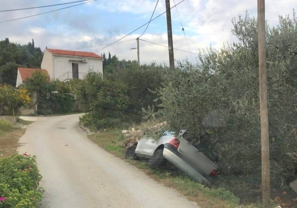 Dalmatinac je predoslovno shvatio rečenicu "Idemo u masline"