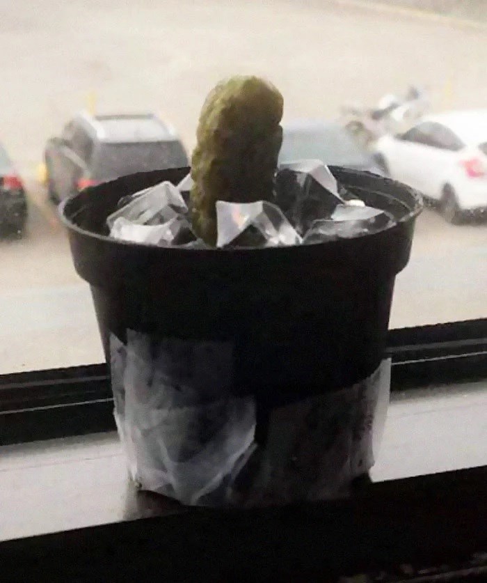 Lik koji radi u uredu dobio je kiseli krastavac kao poklon, i dan danas misli da je to kaktus