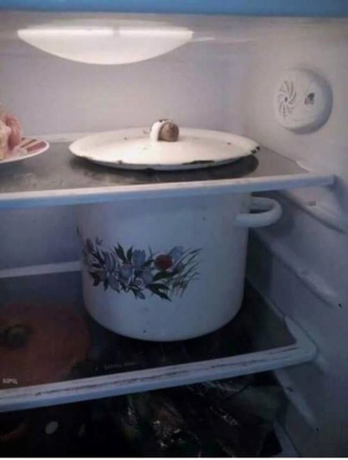 Lonac joj nije stao na policu u hladnjaku pa je pronašla zanimljivo rješenje