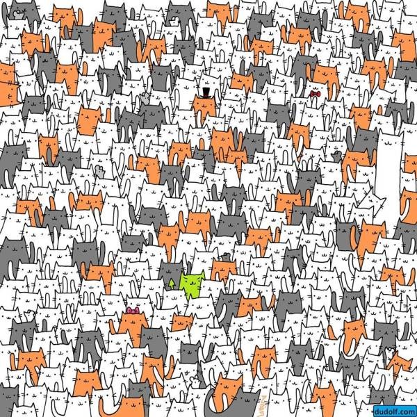 U mnoštvu mačaka krije se jedan zeko s velikim ušima, možete li ga pronaći?