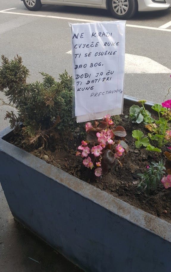 Žena je zaprijetila onima koji kradu cvijeće, no svima je smiješno kako se na kraju potpisala