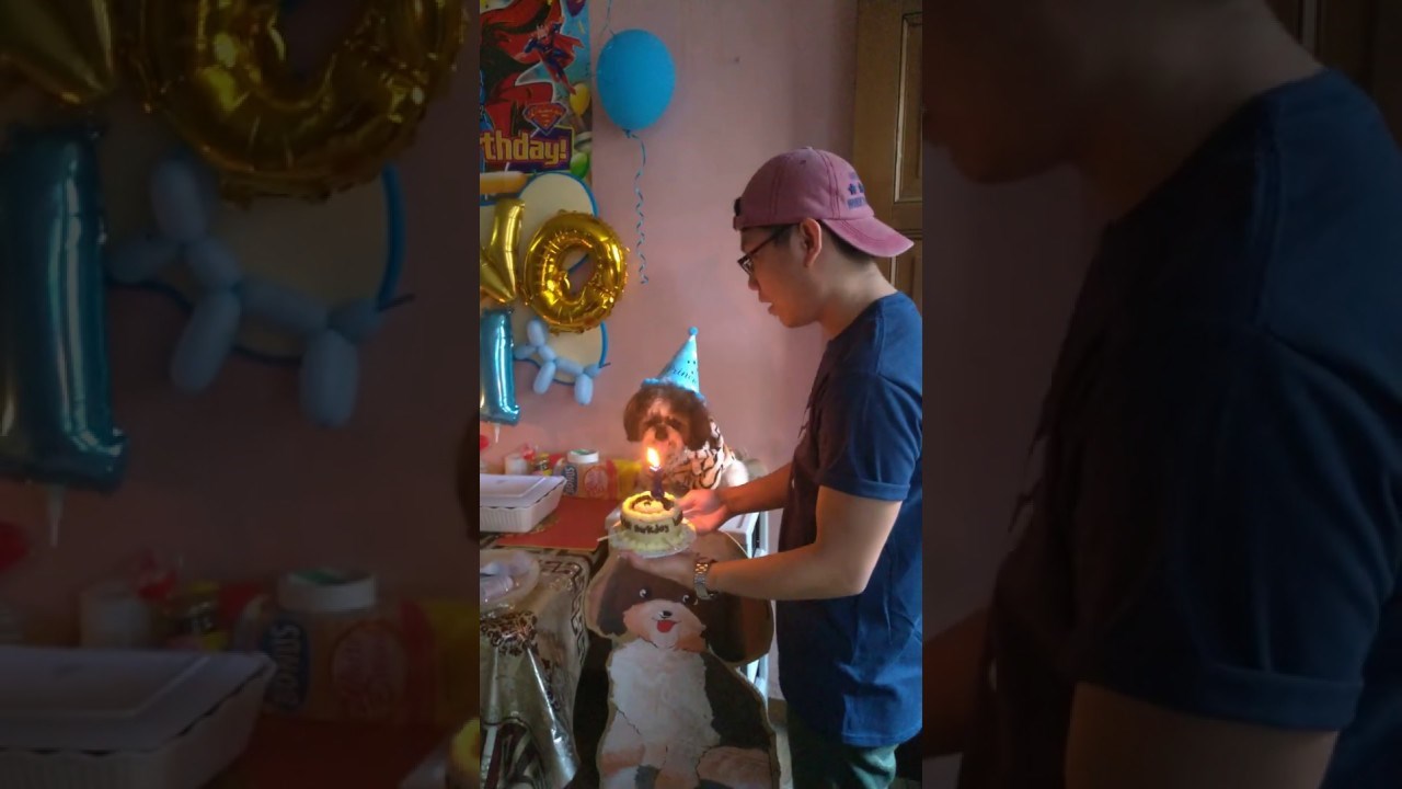 Pas je na proslavi svog prvog rođendana napravio nešto za što vjerojatno niste mislili da je moguće