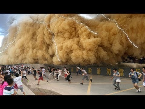 Ekstremno čudne scene uhvaćene kamerom: Snimke s kravom i vlakom će vas ostaviti bez teksta