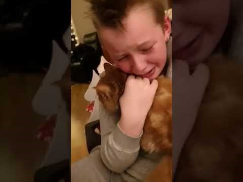 Mama zvala dječaka nakon što se vratio iz škole, rasplakao se kad je vidio njeno iznenađenje