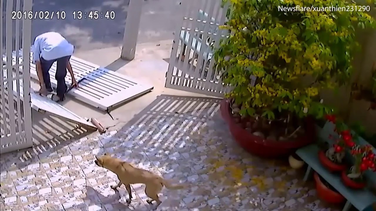 SUDBINA GA JE ODMAH KAZNILA Liku se dogodila glupa nezgoda dok je pokušavao provaliti u tuđu kuću