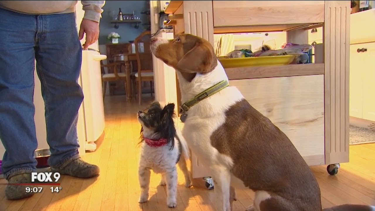 Policija je u pola sata primila 16 poziva s istog broja, smijali su se kad su shvatili što se zapravo dogodilo